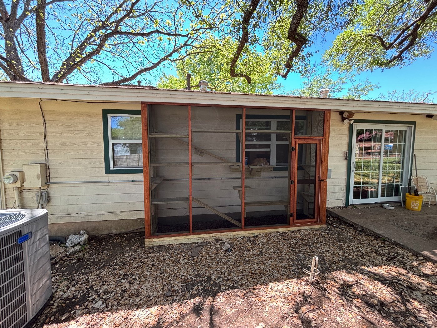 Custom window catio in stained cedar built onto the side of an Austin home, cat resting on a shelf inside