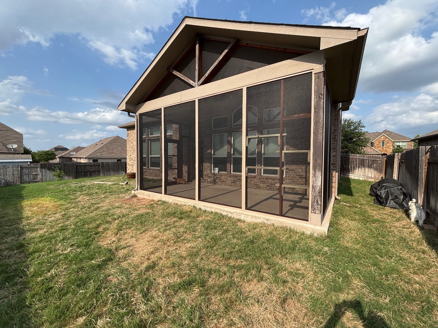 A screened porch catio on the back of an Austin-area home, shared by cats and people